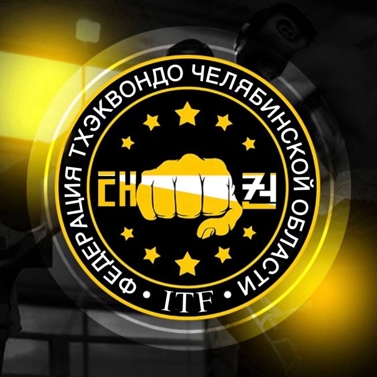 Федерация Тхэквандо Челябинской области ITF